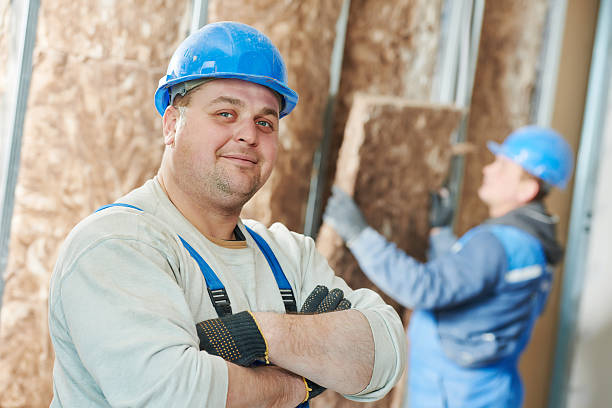 Best Insulation for New Construction  in Plainview, NY